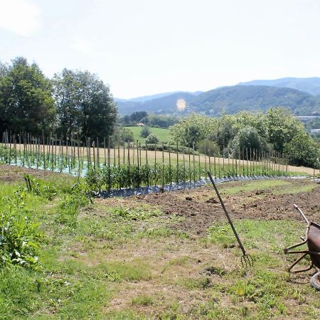 Caserio En Zona Rural Istilla Hondarribia Exterior foto